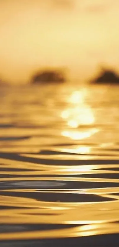 Water Liquid Fluid Live Wallpaper