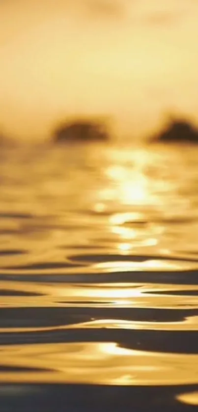 Water Liquid Fluid Live Wallpaper