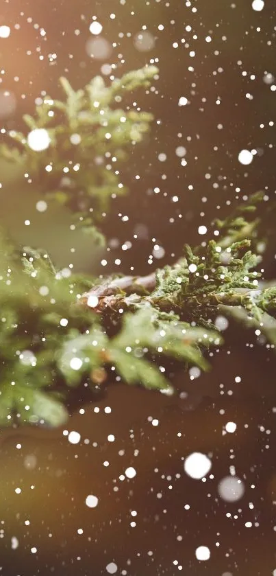 Snow 2 Live Wallpaper