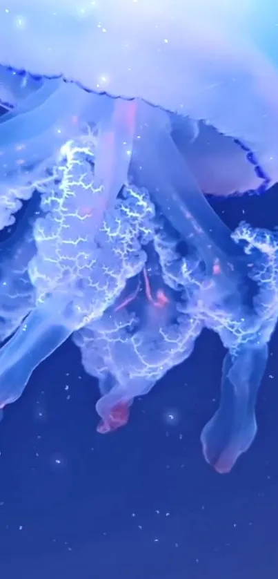 Water Liquid Jellyfish Live Wallpaper