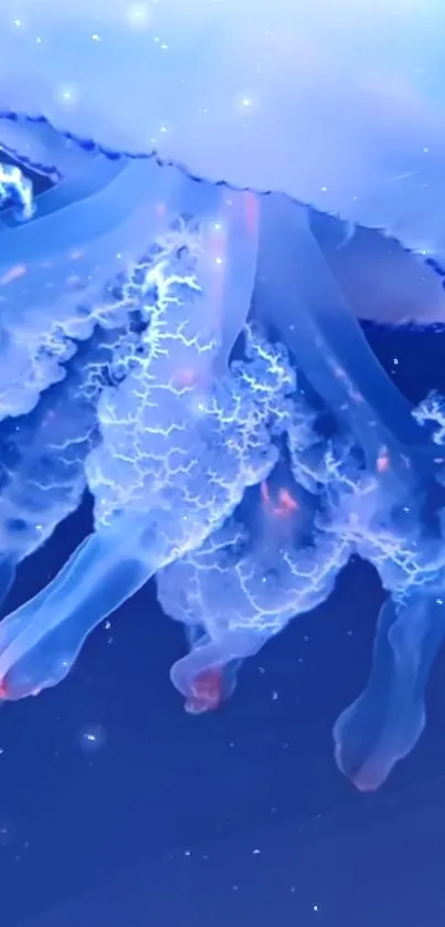 Water Liquid Jellyfish Live Wallpaper