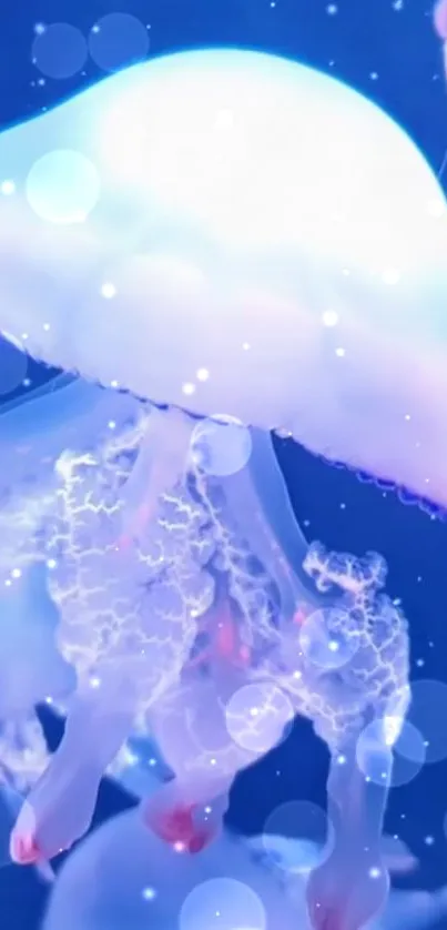 Water Liquid Light Live Wallpaper
