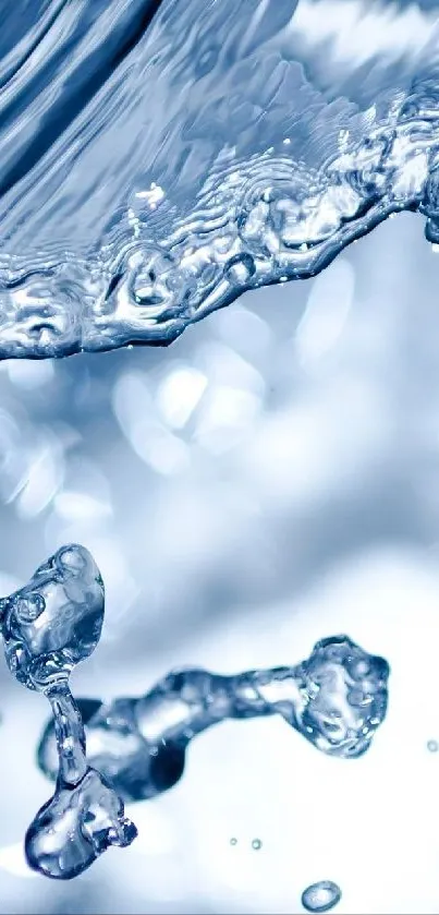 Water Liquid Plant Live Wallpaper