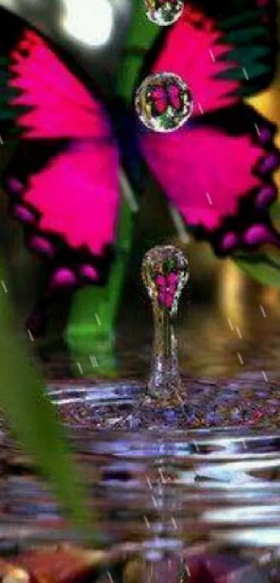 Water Liquid Pollinator Live Wallpaper