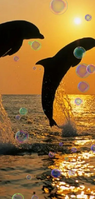 Dolphins Live Wallpaper