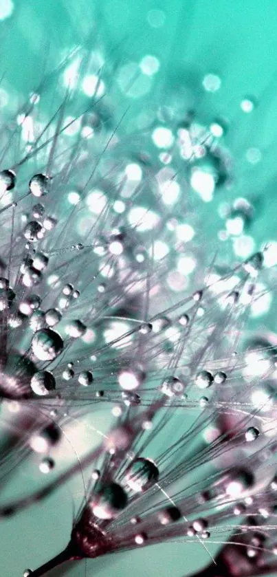 Water Moisture Green Live Wallpaper