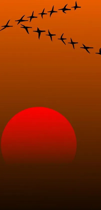 Water Orange Bird Live Wallpaper