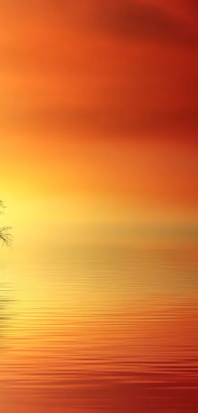 Water Orange Sunrise Live Wallpaper