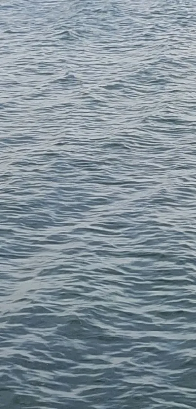Water Outdoor Abstract Live Wallpaper