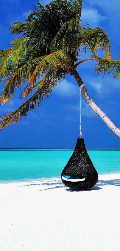 Water Outdoor Tree Live Wallpaper