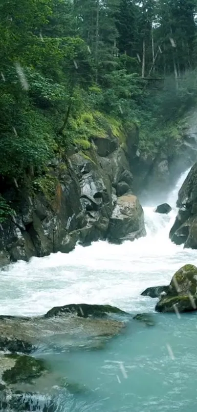 Water Plant Fluvial Landforms Of Streams Live Wallpaper