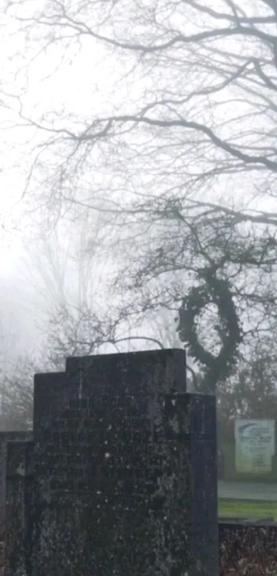 Water Plant Grass Live Wallpaper