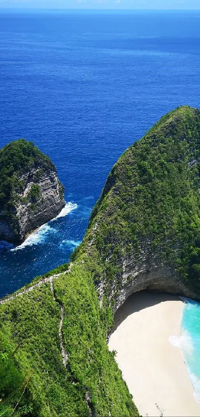 Water Plant Landscape Live Wallpaper