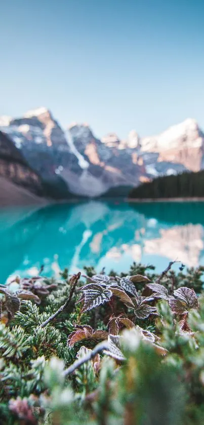 Water Plant Mountain Live Wallpaper