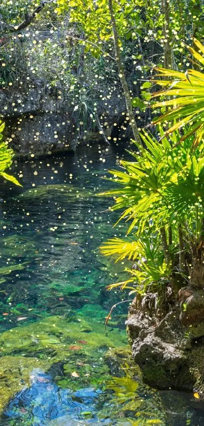 palm shine  Live Wallpaper