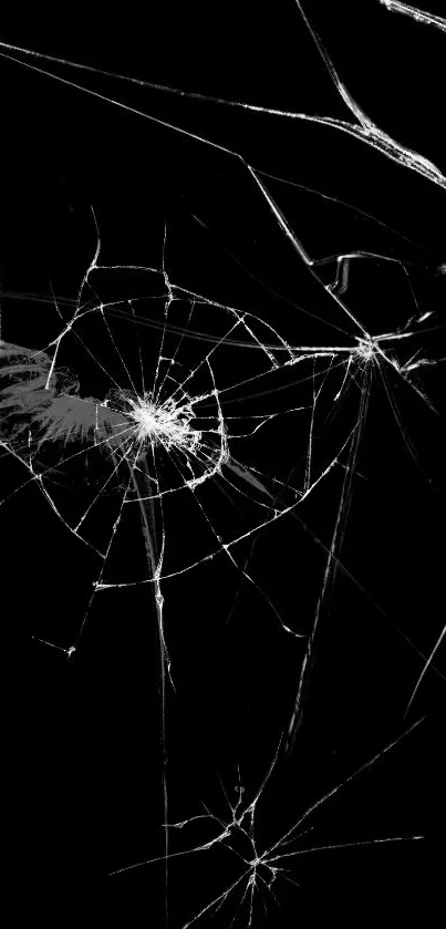 black Live Wallpaper