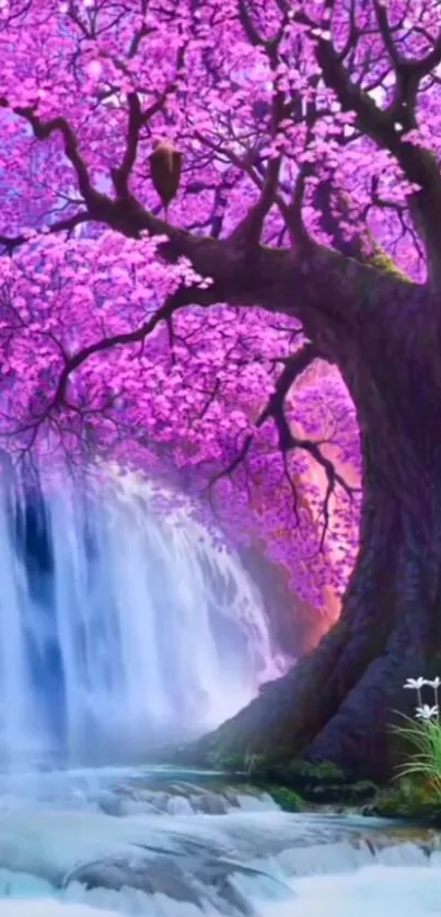 Water Plant Purple Live Wallpaper