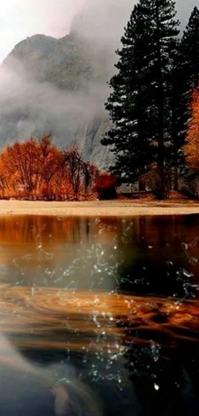 Water Plant Tree Live Wallpaper