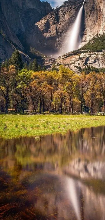Water Plant Tree Live Wallpaper