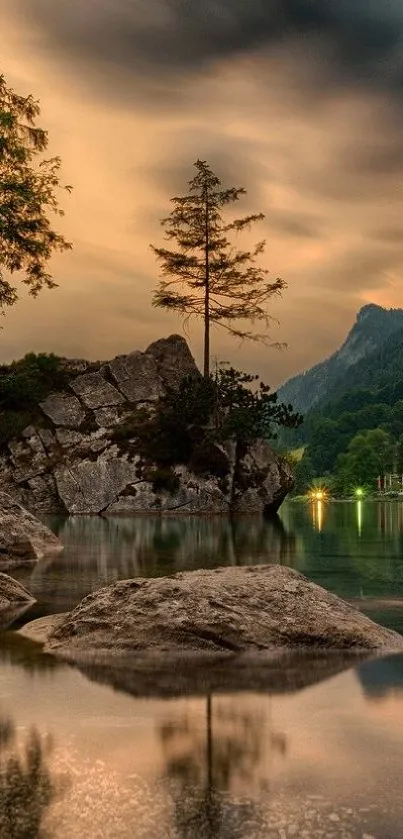 Water Plant Tree Live Wallpaper