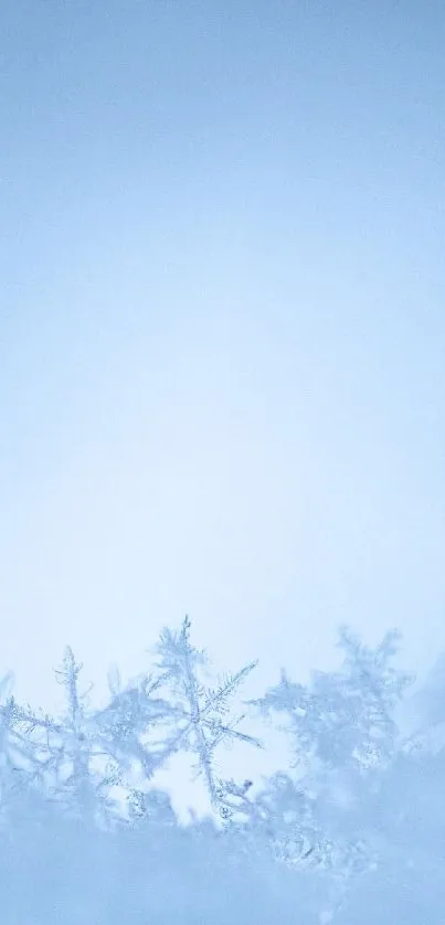 Water Plant Tree Live Wallpaper