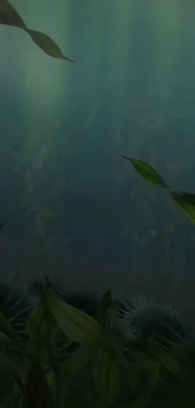 Water Plant Underwater Live Wallpaper