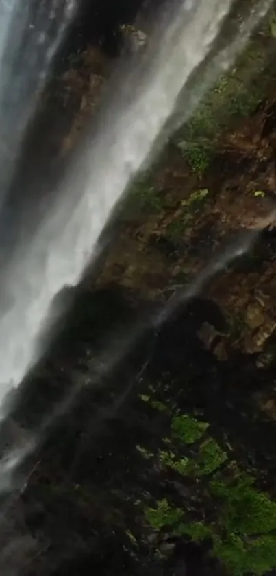 Water Plant Waterfall Live Wallpaper