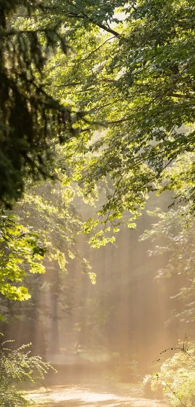 Water Plant Wood Live Wallpaper