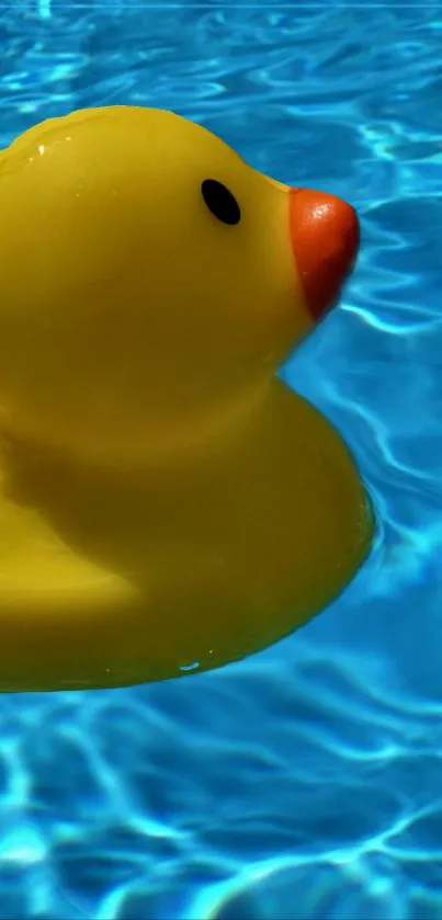 Water Rubber Ducky Blue Live Wallpaper