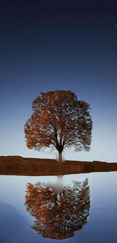 t Live Wallpaper