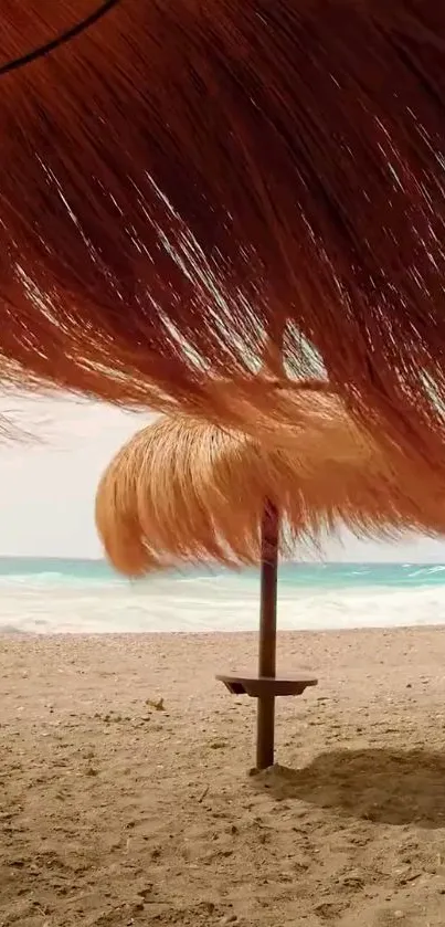 Water Sky Beach Live Wallpaper
