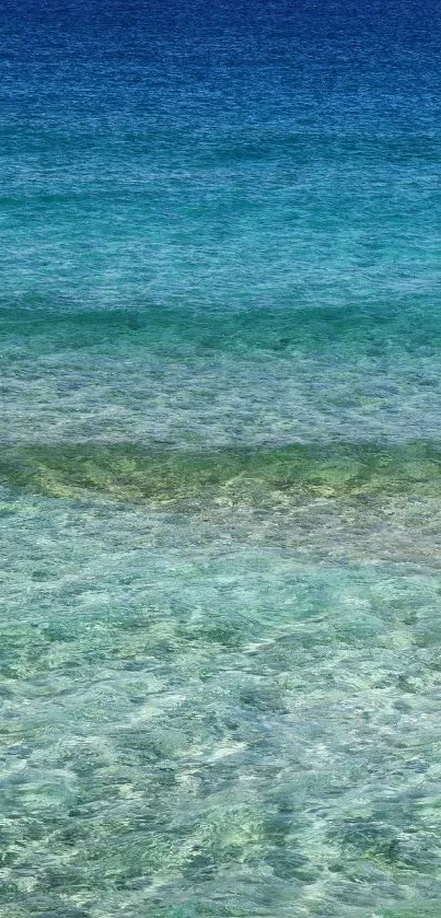Water Sky Beach Live Wallpaper