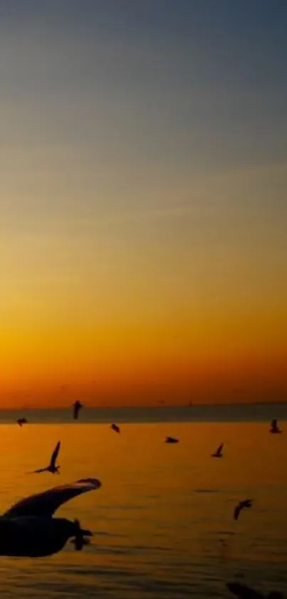 Golden sunset over sea with birds in flight.