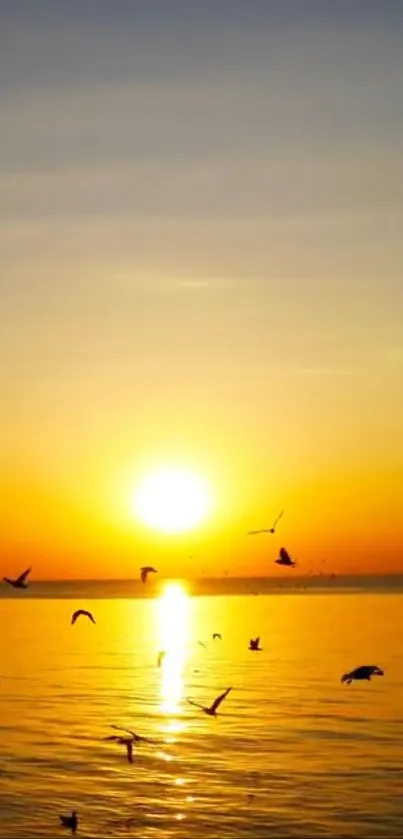 Water Sky Bird Live Wallpaper