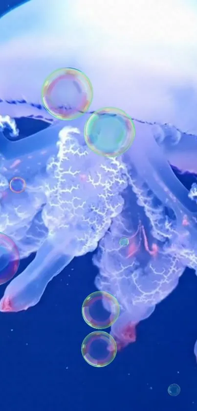 Water Sky Blue Live Wallpaper