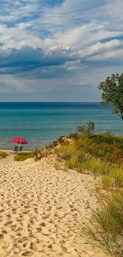 beach Live Wallpaper