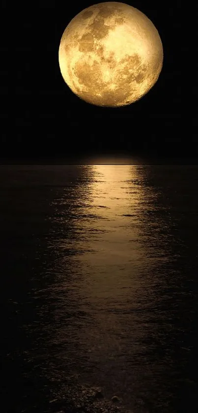 Water Sky Moon Live Wallpaper