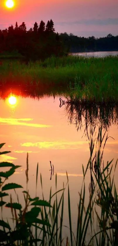 Water Sky Plant Live Wallpaper