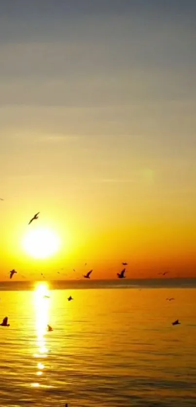 Water Sky Water Resources Live Wallpaper