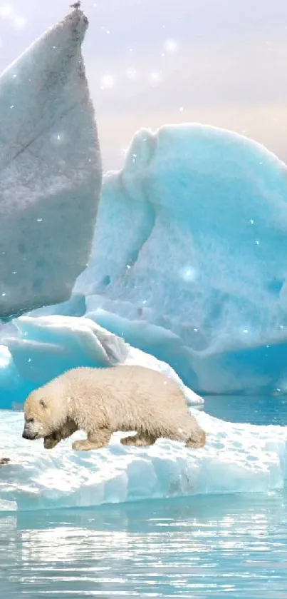 polar Live Wallpaper