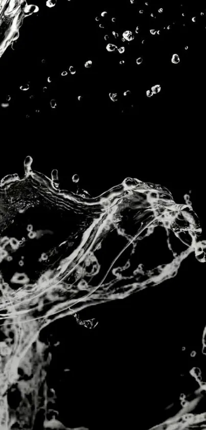 Dynamic water splash on a black background.