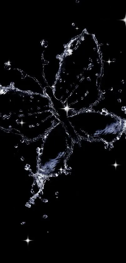 Abstract butterfly formed by water on a black background.