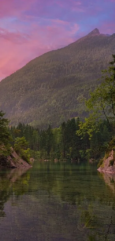 Water Tree Mountain Live Wallpaper