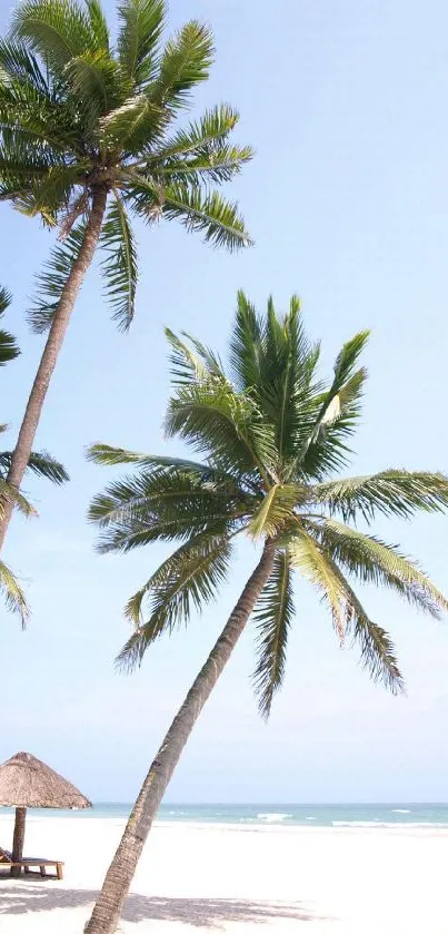 Water Tree Sky Live Wallpaper
