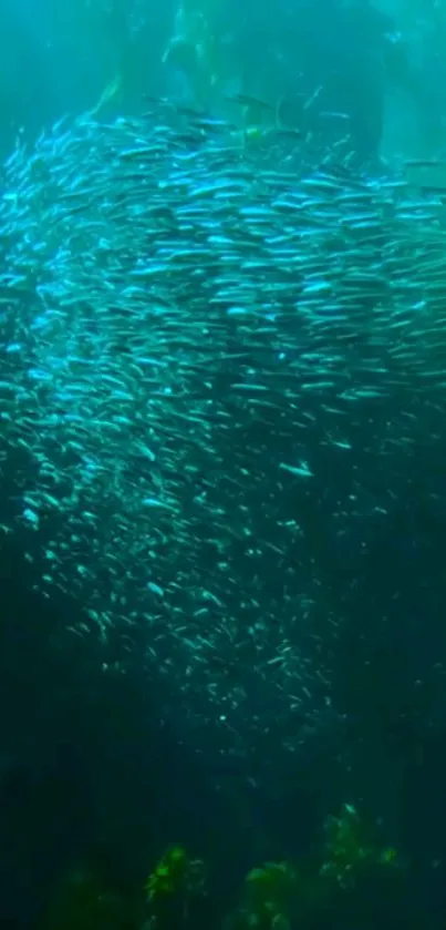 Water Underwater Green Live Wallpaper