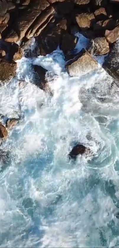 Water Vertebrate Azure Live Wallpaper