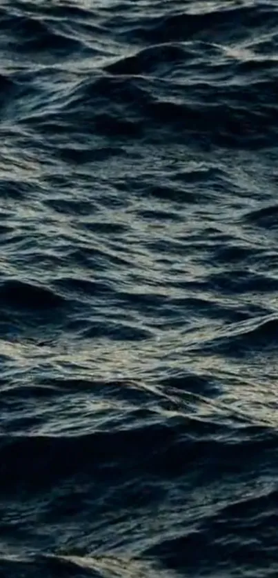 Water Water Resources Liquid Live Wallpaper