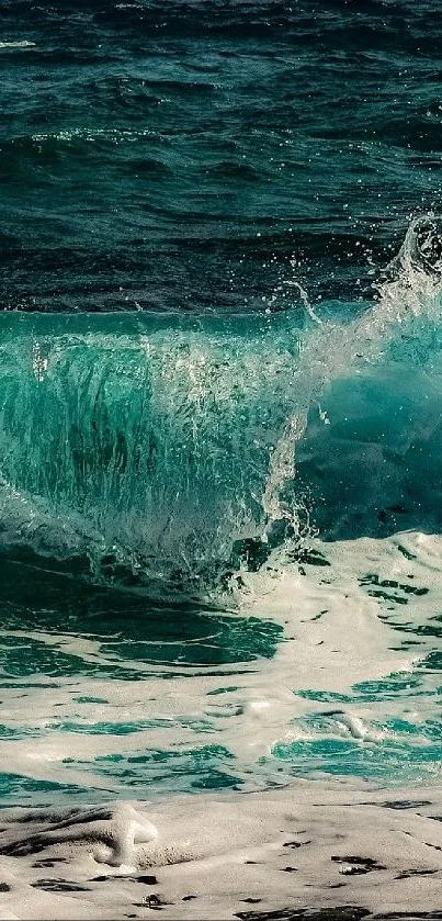 ola Live Wallpaper