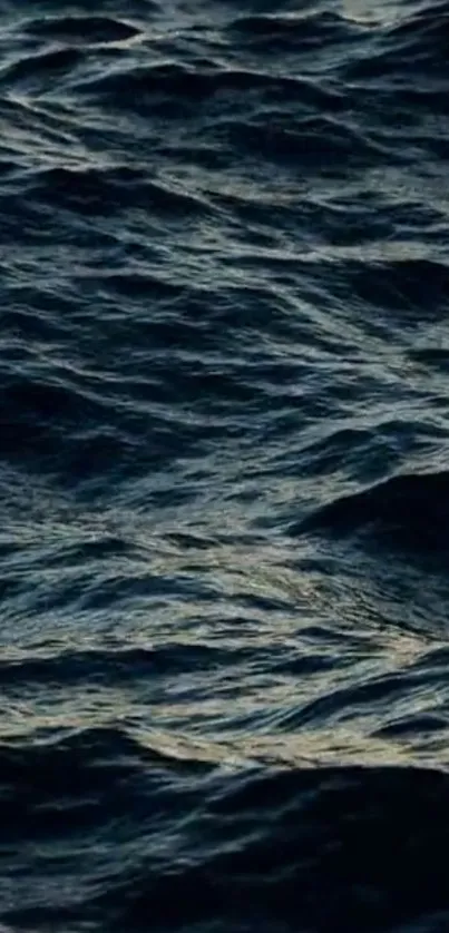 Water Water Resources Liquid Live Wallpaper