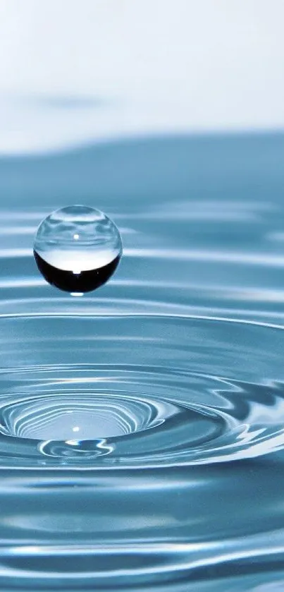 Water Water Resources Liquid Live Wallpaper